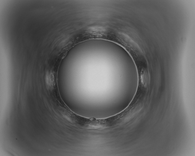 X0000111681347200907171625