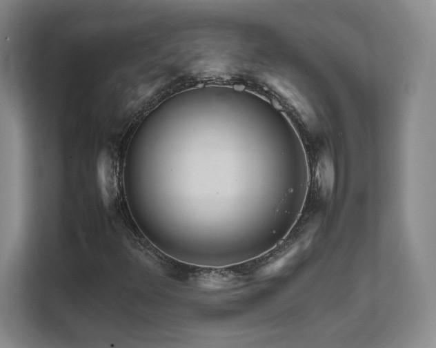 X0000111681348200907171625