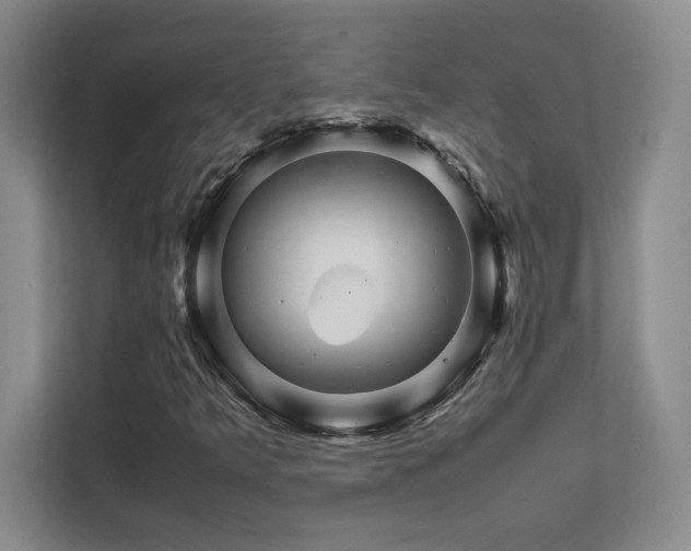 X0000111681349200907171625