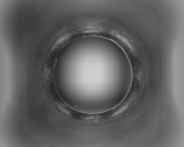 X0000111681351200907171625