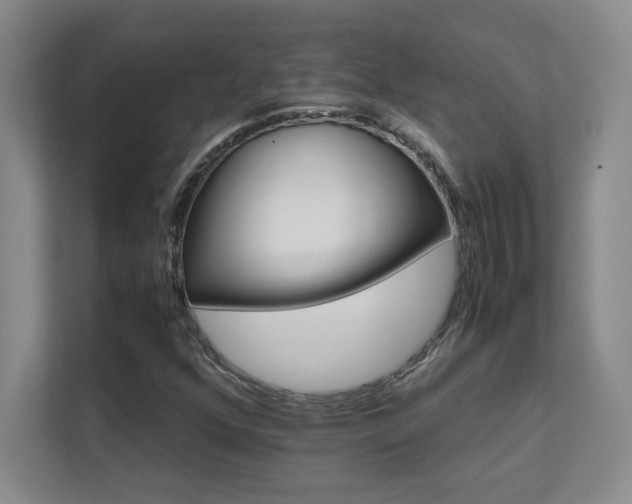 X0000111681352200907171625