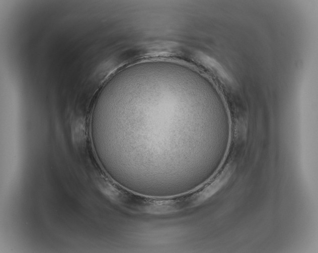 X0000111681353200907171625