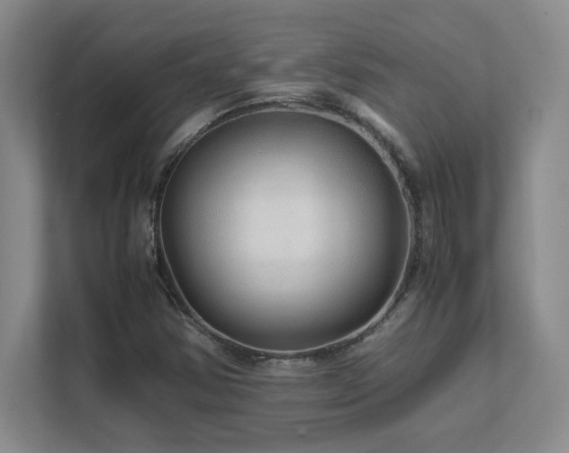 X0000111681354200907171625