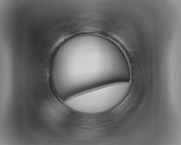 X0000111681355200907171625