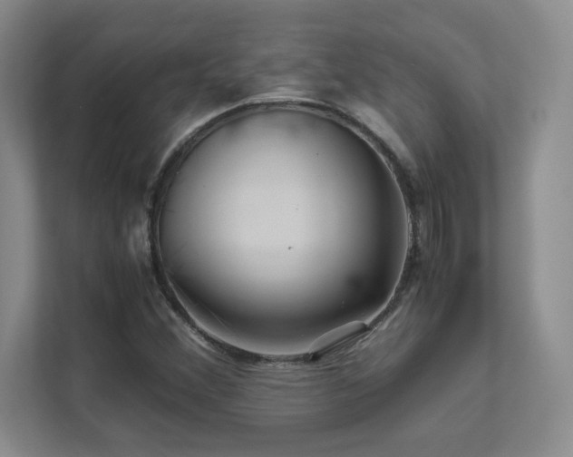 X0000111681356200907171625