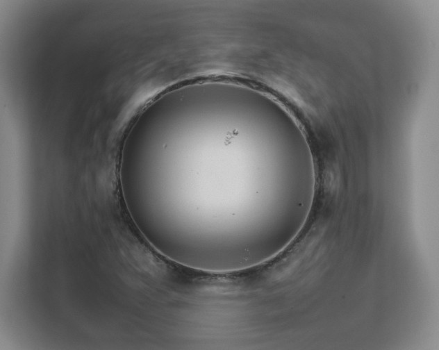 X0000111681359200907171625