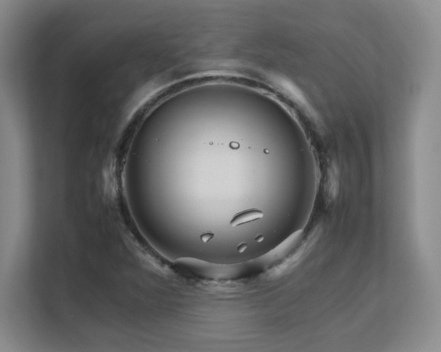 X0000111681360200907171625