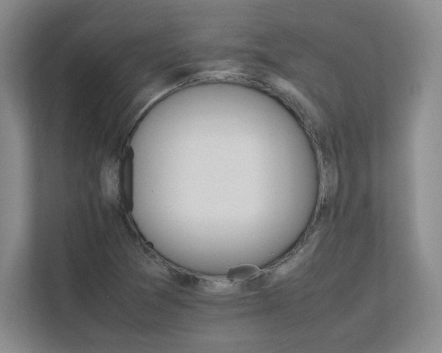 X0000111681361200907171625