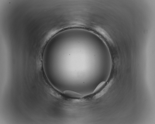 X0000111681363200907171625