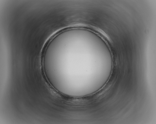 X0000111681364200907171625