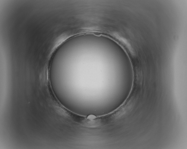 X0000111681365200907171625