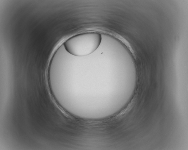 X0000111681373200907171625