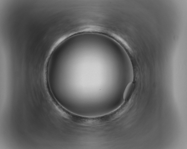 X0000111681375200907171625