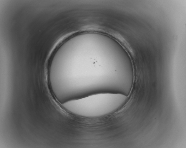 X0000111681376200907171625