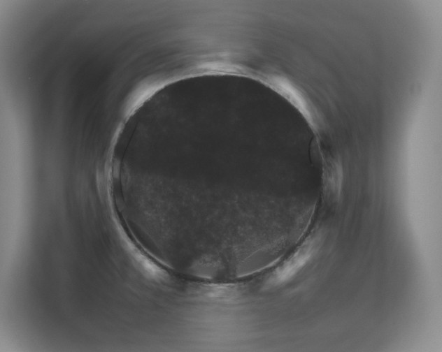 X0000111681381200907171625