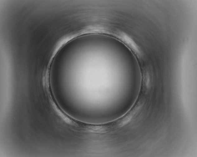 X0000111681382200907171625