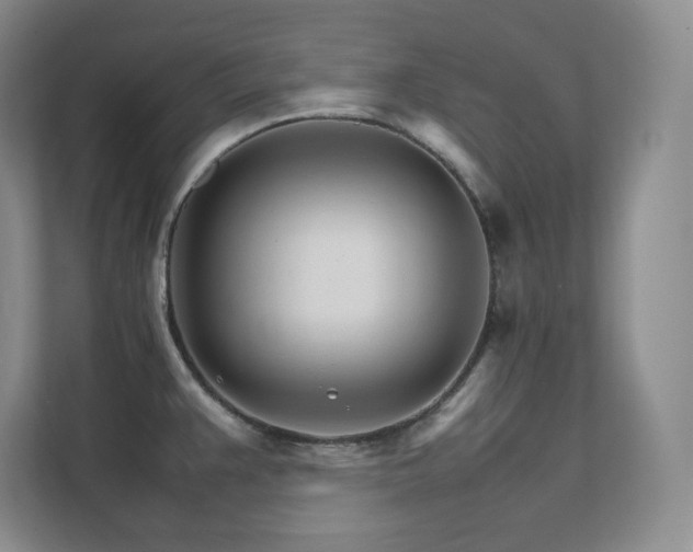 X0000111681383200907171625