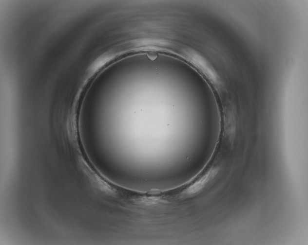 X0000111681384200907171625