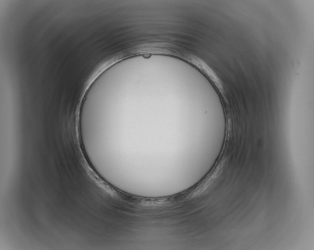 X0000111681386200907171625