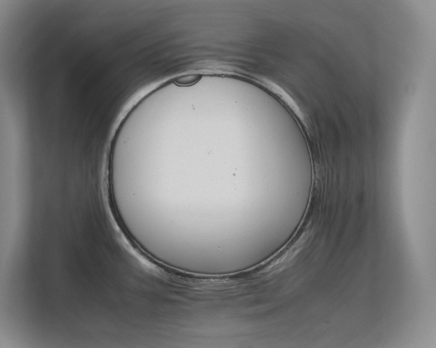 X0000111681387200907171625