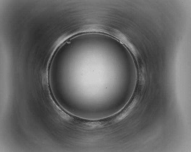 X0000111681388200907171625