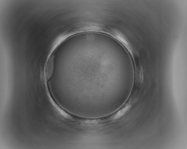 X0000111681389200907171625