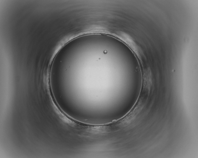 X0000111681390200907171625