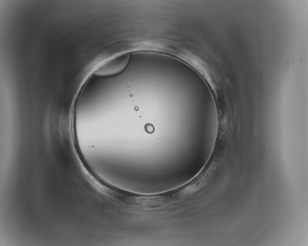 X0000111681391200907171625