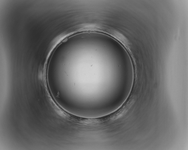 X0000111681392200907171625