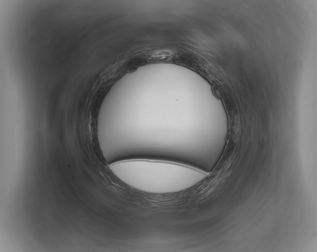 X0000111681394200907171624