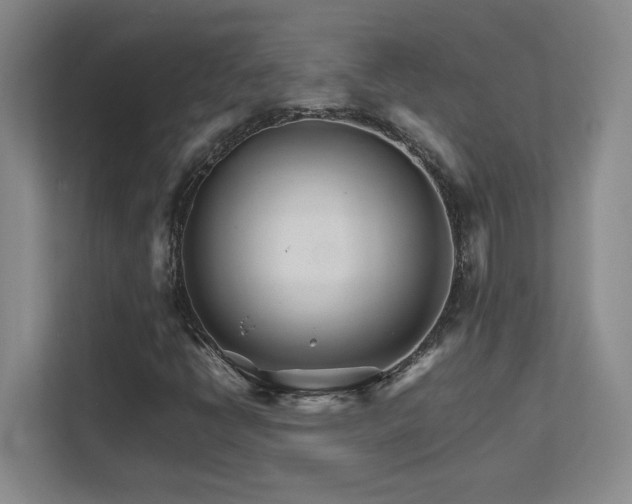 X0000111681398200907171624
