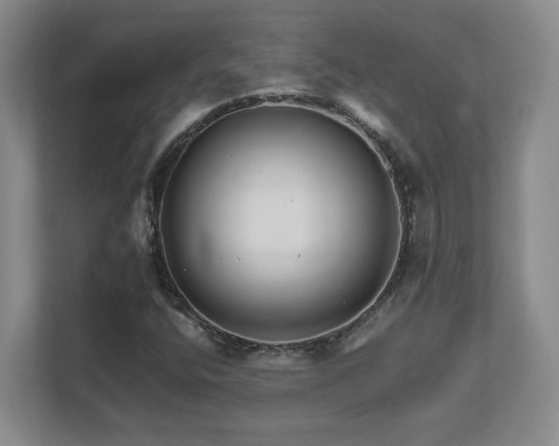 X0000111681400200907171624