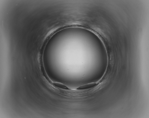 X0000111681404200907171624