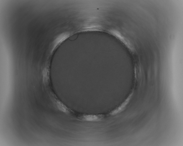 X0000111681405200907171624