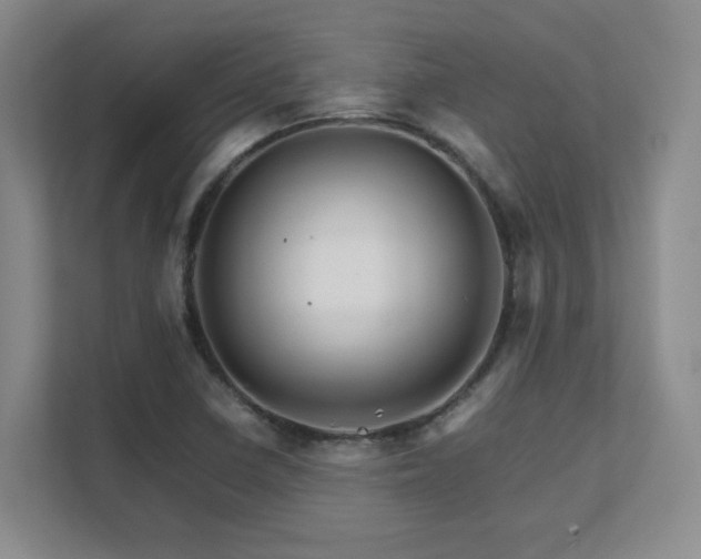 X0000111681410200907171624