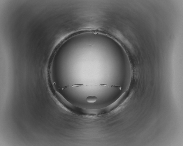 X0000111681412200907171624