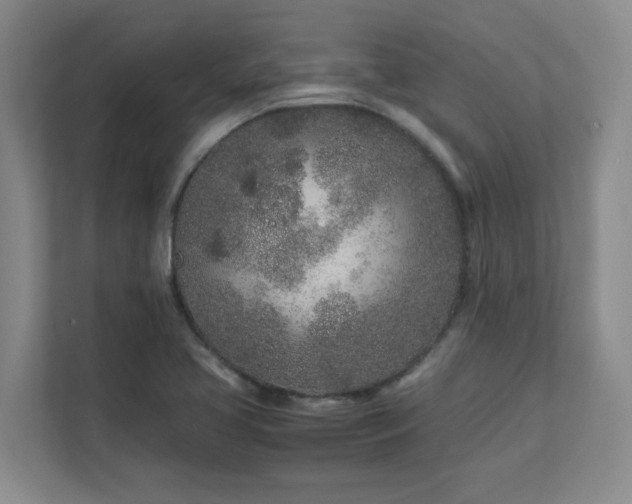 X0000111681413200907171624