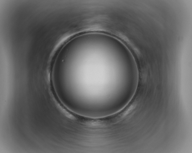 X0000111681416200907171624