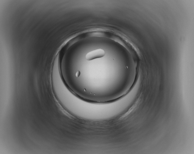 X0000111681417200907171624