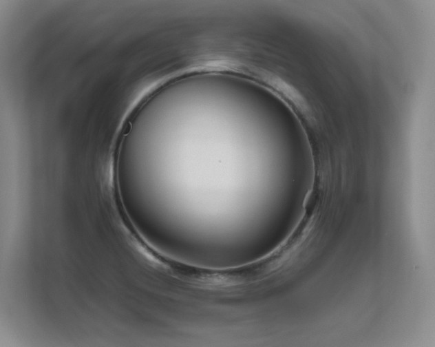X0000111681420200907171625