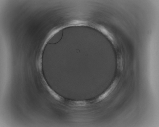 X0000111681421200907171625