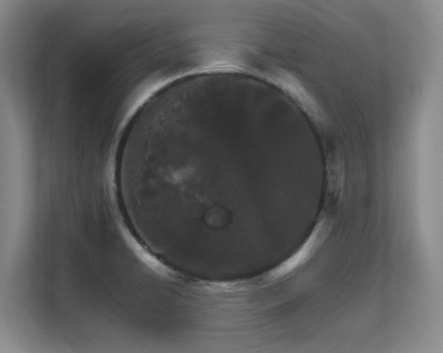 X0000111681422200907171625