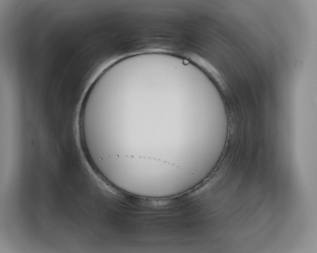 X0000111681423200907171625