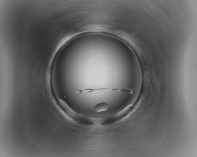 X0000111681424200907171625