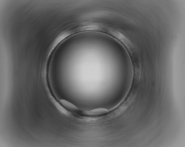 X0000111681426200907171625