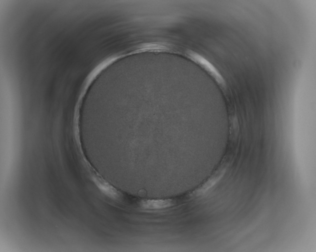 X0000111681427200907171625