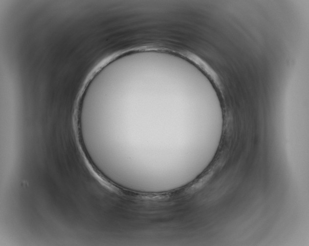 X0000111681429200907171625