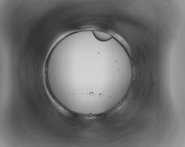 X0000111681431200907171625