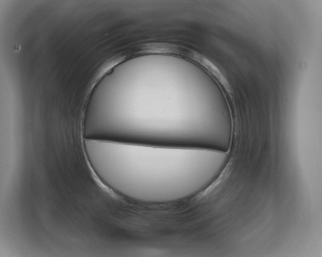 X0000111681433200907171625