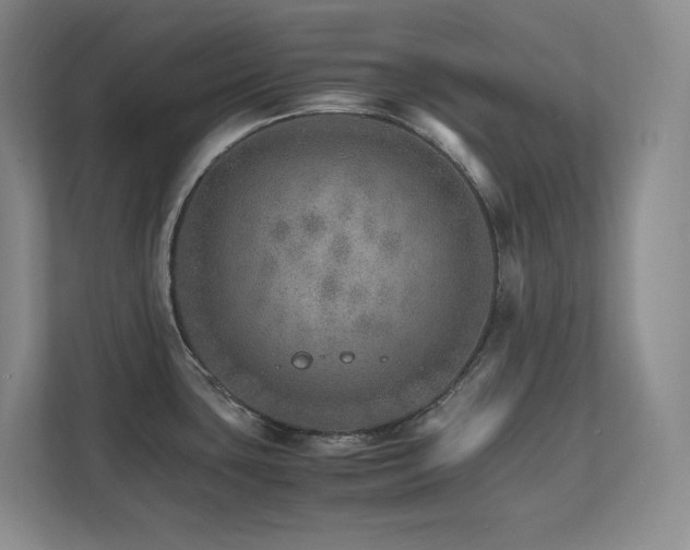 X0000111681435200907171625